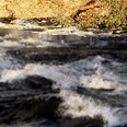 American River at William Pond