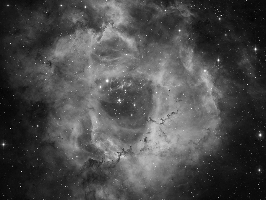 The Rosette Nebula