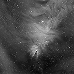 Ngc 2264